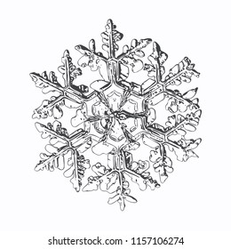 Snowflake isolated on white background. This vector illustration based on macro photo of real snow crystal: complex stellar dendrite with fine hexagonal symmetry, ornate shape and thin, elegant arms.