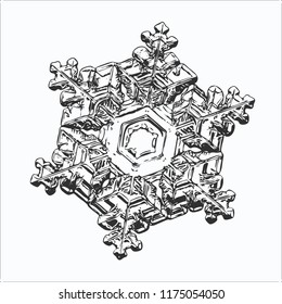 Snowflake isolated on white background. This vector illustration based on macro photo of real snow crystal: beautiful star plate with fine hexagonal symmetry, six short, broad arms and glossy surface.