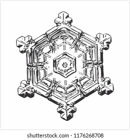 Snowflake isolated on white background. This vector illustration based on macro photo of real snow crystal: small star plate with six short, ornate arms, relief surface and complex inner structure.