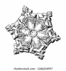 Snowflake isolated on white background. This vector illustration based on macro photo of real snow crystal: beautiful star plate with  short, simple arms, relief surface and complex inner pattern.