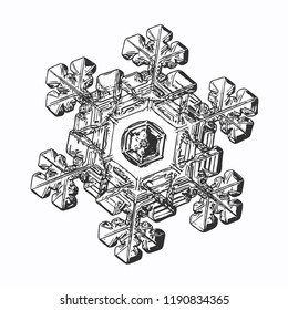 Snowflake isolated on white background. This vector illustration based on macro photo of real snow crystal: elegant stellar dendrite with relief surface, large central hexagon and short, broad arms.