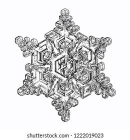 Snowflake isolated on white background. Vector illustration based on macro photo of real snow crystal: elegant star plate with fine hexagonal symmetry, six short broad arms and complex inner pattern.