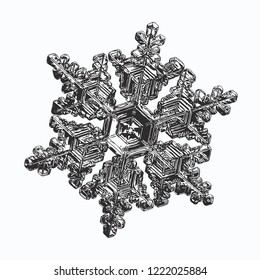 Snowflake isolated on white background. Vector illustration based on macro photo of real snow crystal: complex stellar dendrite with fine hexagonal symmetry, ornate shape and six thin, elegant arms.