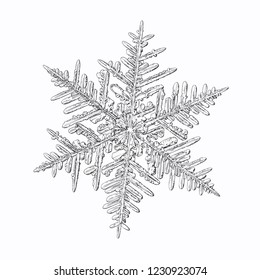 Snowflake isolated on white background. Vector illustration based on macro photo of real snow crystal: complex stellar dendrite with fine hexagonal symmetry, ornate shape and six thin, elegant arms.