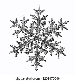 Snowflake isolated on white background. Vector illustration based on macro photo of real snow crystal: beautiful stellar dendrite with hexagonal symmetry, complex ornate shape and six elegant arms.