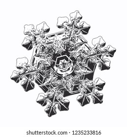 Snowflake isolated on white background. Vector illustration based on macro photo of real snow crystal: elegant star plate with fine hexagonal symmetry, six short, broad arms and glossy relief surface.