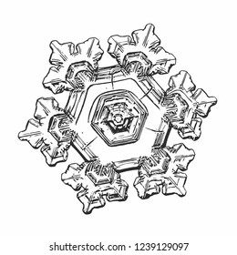 Snowflake isolated on white background. Vector illustration based on macro photo of real snow crystal: elegant star plate with fine hexagonal symmetry, six short broad arms and complex inner details.