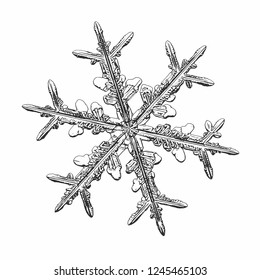 Snowflake isolated on white background. Vector illustration based on macro photo of real snow crystal: elegant stellar dendrite with fine hexagonal symmetry, ornate shape and 
complex inner details.