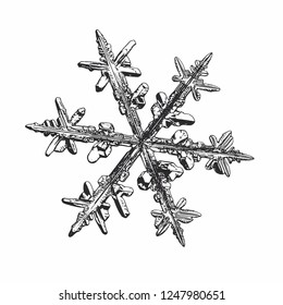 Snowflake isolated on white background. Vector illustration based on macro photo of real snow crystal: complex stellar dendrite with fine hexagonal symmetry, ornate shape and elegant inner details.