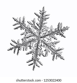 Snowflake isolated on white background. Vector illustration based on macro photo of real snow crystal: elegant stellar dendrite with fine hexagonal symmetry, ornate shape and complex inner pattern.