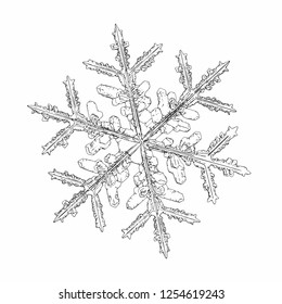 Snowflake isolated on white background. Vector illustration based on macro photo of real snow crystal: elegant stellar dendrite with fine hexagonal symmetry, ornate shape and complex inner details.