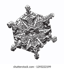 Snowflake isolated on white background. Vector illustration based on macro photo of real snow crystal: elegant star plate with short, broad arms, glossy relief surface and complex inner pattern.