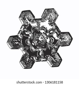 Snowflake isolated on white background. Vector illustration based on macro photo of real snow crystal: elegant star plate with fine hexagonal symmetry, short, broad arms and glossy, relief surface.