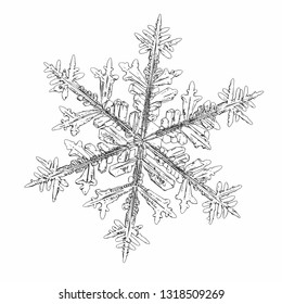 Snowflake isolated on white background. Vector illustration based on macro photo of real snow crystal: complex stellar dendrite with fine hexagonal symmetry, ornate shape and six thin, elegant arms.