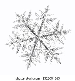 Snowflake isolated on white background. Vector illustration based on macro photo of real snow crystal: complex stellar dendrite with fine hexagonal symmetry, ornate shape and six thin, elegant arms.