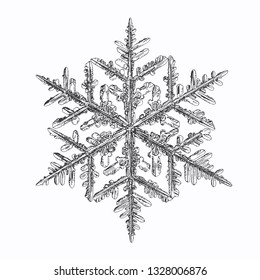 Snowflake isolated on white background. Vector illustration based on macro photo of real snow crystal: elegant stellar dendrite with fine hexagonal symmetry, ornate shape and complex inner details.