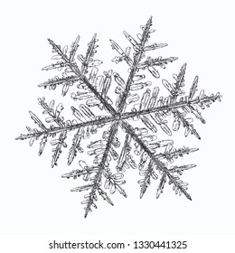 Snowflake isolated on white background. Vector illustration based on macro photo of real snow crystal: elegant stellar dendrite with fine hexagonal symmetry, ornate shape and complex inner details.