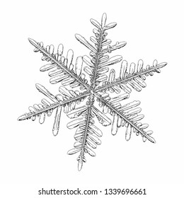 Snowflake isolated on white background. Vector illustration based on macro photo of real snow crystal: complex stellar dendrite with fine hexagonal symmetry, ornate shape and six thin, elegant arms.