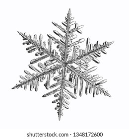 Snowflake isolated on white background. Vector illustration based on macro photo of real snow crystal: beautiful stellar dendrite with fine hexagonal symmetry, elegant arms and glossy, relief surface.