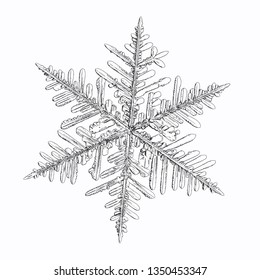 Snowflake isolated on white background. Vector illustration based on macro photo of real snow crystal: complex stellar dendrite with fine hexagonal symmetry, ornate shape and six thin, elegant arms.