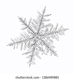 Snowflake isolated on white background. Vector illustration based on macro photo of real snow crystal: elegant stellar dendrite with fine hexagonal symmetry, ornate shape and complex inner details.