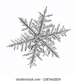 Snowflake isolated on white background. Vector illustration based on macro photo of real snow crystal: complex stellar dendrite with fine hexagonal symmetry, ornate shape and six thin, elegant arms.