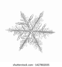 Snowflake isolated on white background. Vector illustration based on macro photo of real snow crystal: complex stellar dendrite with fine hexagonal symmetry, ornate shape and six thin, elegant arms.