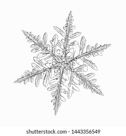 Snowflake isolated on white background. Vector illustration based on macro photo of real snow crystal: complex stellar dendrite with fine hexagonal symmetry, ornate shape and six thin, elegant arms.