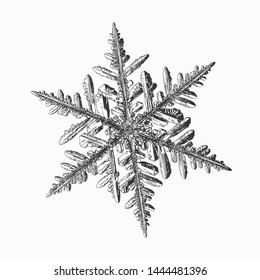 Snowflake isolated on white background. Vector illustration based on real snow crystal: beautiful stellar dendrite with hexagonal symmetry, complex details, elegant arms and glossy, relief surface.