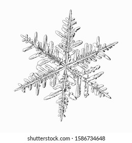 Snowflake isolated on white background. Vector illustration based on real snow crystal: elegant stellar dendrite with hexagonal symmetry, thin, flat arms, ornate shape and complex inner details.