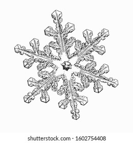 Snowflake isolated on white background. Vector illustration based on macro photo of real snow crystal: complex stellar dendrite with hexagonal symmetry, ornate shape and six flat, elegant arms.