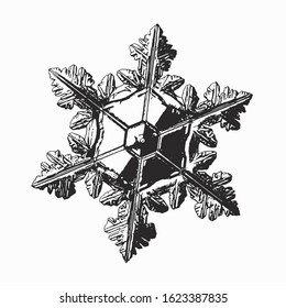 Snowflake isolated on white background. Vector illustration based on macro photo of real snow crystal: elegant star plate with hexagonal symmetry, short, flat arms and complex inner structure.