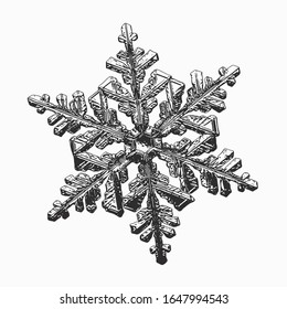 Snowflake isolated on white background. Vector illustration based on macro photo of real snow crystal: complex stellar dendrite with fine hexagonal symmetry, ornate shape and six thin, elegant arms.