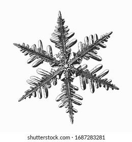 Snowflake isolated on white background. Vector illustration based on real snow crystal: beautiful stellar dendrite with hexagonal symmetry, complex details, elegant arms and glossy, relief surface.