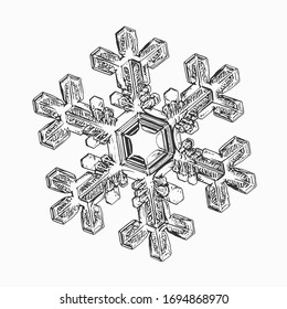 Copo de nieve aislado en fondo blanco. Ilustración vectorial basada en cristal de nieve real: elegante dendrita estelar con simetría hexagonal, brazos delgados y planos, forma ornamentada y detalles interiores complejos.