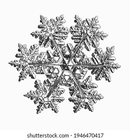 Snowflake isolated on white background. Vector illustration based on real snow crystal at high magnification: elegant stellar dendrite with flat, ornate arms, complex structure and glossy surface.
