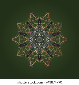 Snowflake isolated ornament