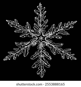 Snowflake, logo or design element. Hand-drawn vector illustration for your holiday design.