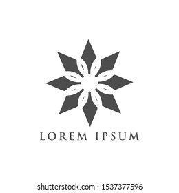 snowflake Logo. icon vector design