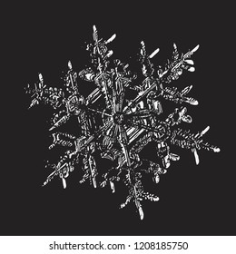 Snowflake on black background. This vector illustration based on macro photo of real snow crystal: elegant stellar dendrite withhexagonal symmetry, complex ornate shape and glossy relief surface.