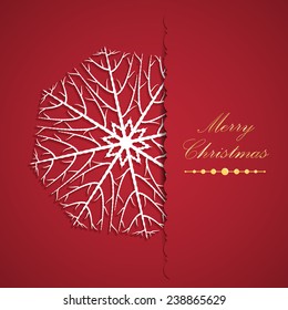 Snowflake on card vector illustration