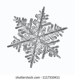 Snowflake on white background. This vector illustration based on macro photo of real snow crystal: complex stellar dendrite with fine hexagonal symmetry, ornate shape and six thin, elegant arms.