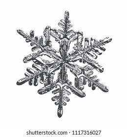 Snowflake on white background. This vector illustration based on macro photo of real snow crystal: complex stellar dendrite with fine hexagonal symmetry, ornate shape and six thin, elegant arms.