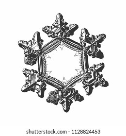 Snowflake on white background. This vector illustration based on macro photo of real snow crystal: beautiful star plate with six short, relief arms and large, flat and empty central hexagon.