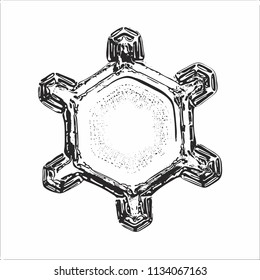 Snowflake on white background. This vector illustration based on macro photo of real snow crystal: simple star plate with short arms and large, flat central hexagon with ring pattern of tiny dots.