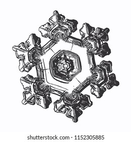 Snowflake on white background. This vector illustration based on macro photo of real snow crystal: large star plate with fine hexagonal symmetry, six short, broad arms and complex inner details.