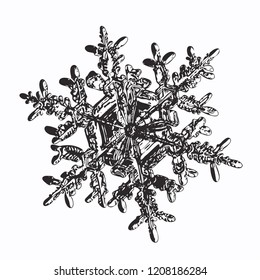 Snowflake on white background. This vector illustration based on macro photo of real snow crystal: complex stellar dendrite with fine hexagonal symmetry, ornate shape and six thin, elegant arms.