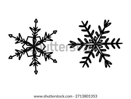 Snowflake Pair: Elegant and delicate snowflakes, symbols of winter's embrace, showcasing intricate beauty and the unique symmetry of nature's artistry.
