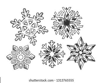 Snowflake set sketch sketch engraving vector illustration. Scratch board style imitation. Black and white hand drawn image.