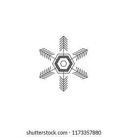 Snowflake star ornaments vector icon